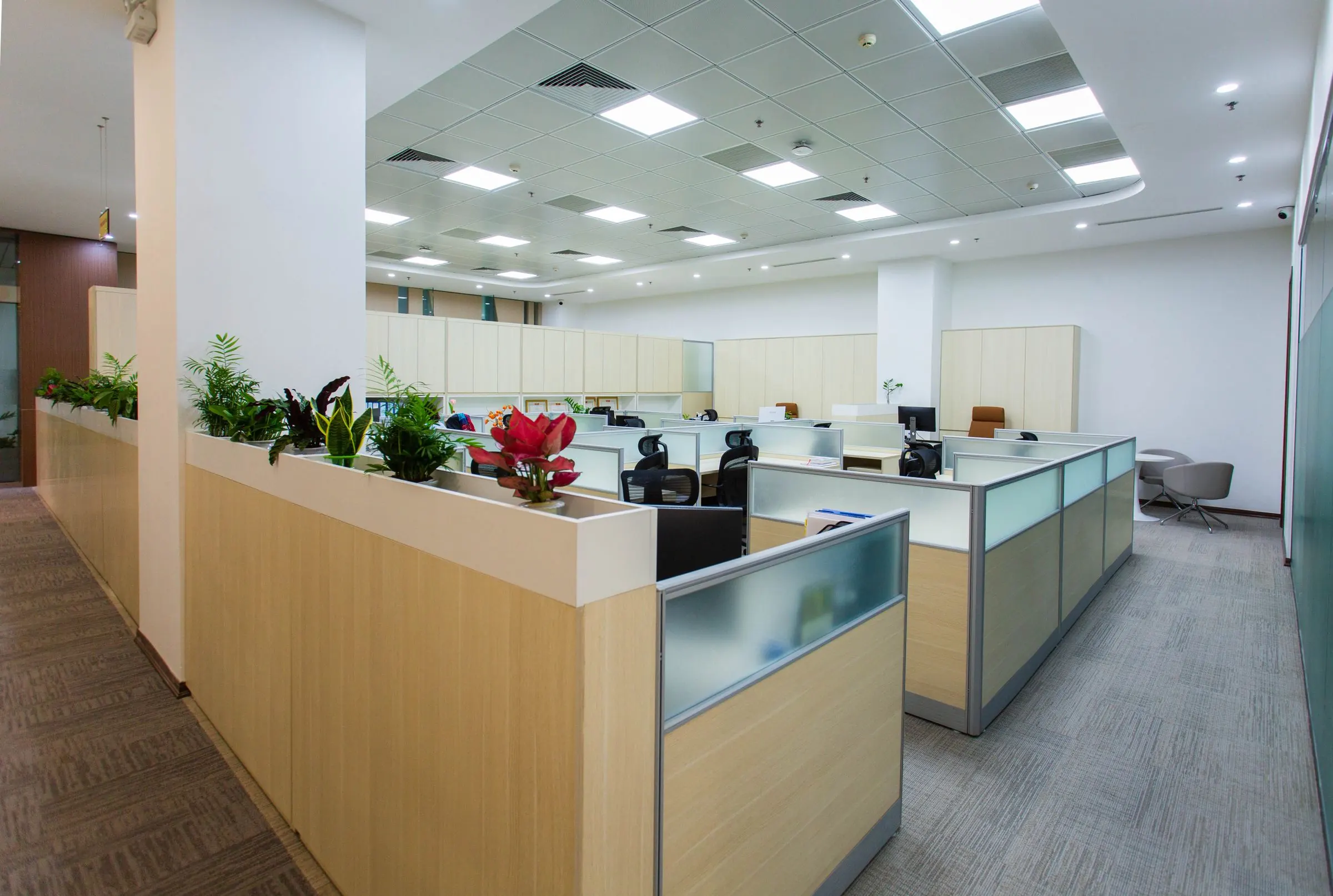 Clean open-plan office with tidy workstations and vacuumed carpet after professional office cleaning